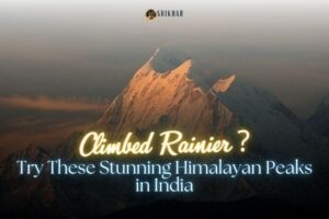 Climbed Mount Rainier