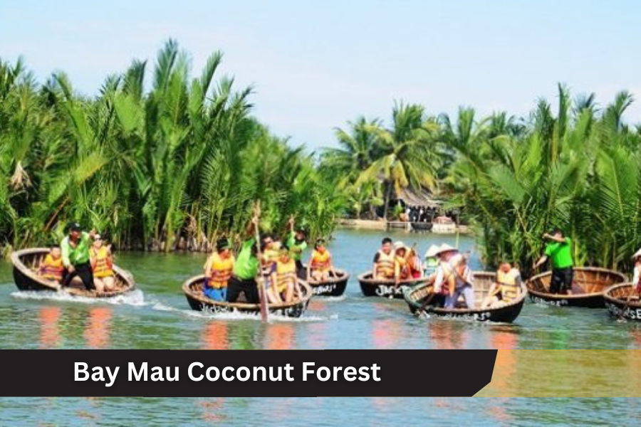 Vietnam Honeymoon Packages